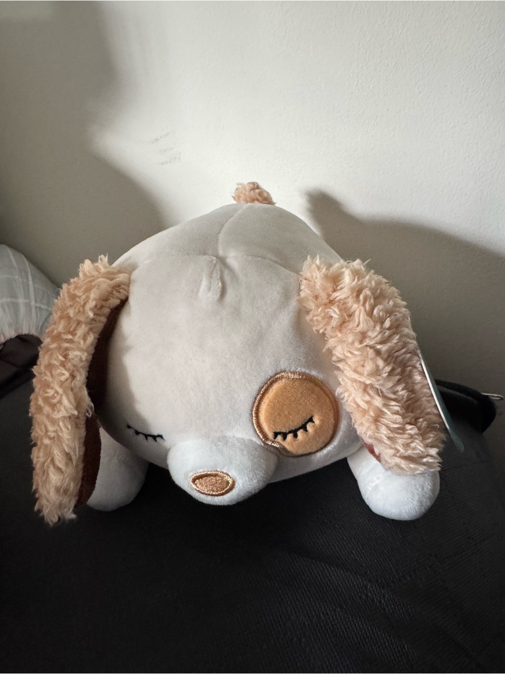 Squishmallows Cream and Beige Sleepy Puppy Plush